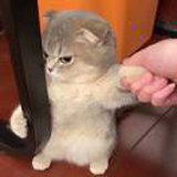 豆友fCZRPPmkUo