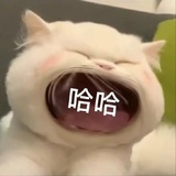 哈哈