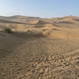 在死亡边缘徘徊的灵魂