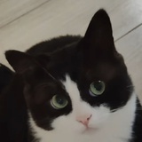 豆友276668943