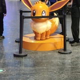 小七