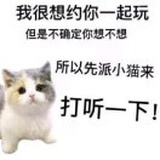 小燕子贝克