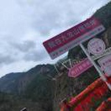 豆友1TsfSyewF4