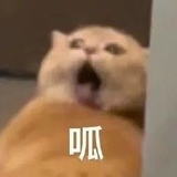 森么呱