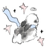 koikoiiii