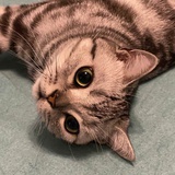 豆友277069285