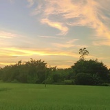 豆友来看看