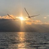 领悟