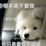 不与渃稚吵架