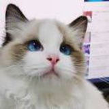 豆友GIElaVQdv8