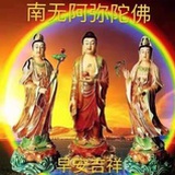 豆瓣新人