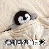 三喵教练（海选