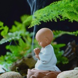 今天星期六