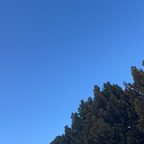 努力努力再努力