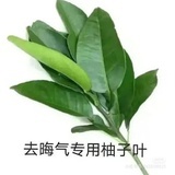 红芯番茄