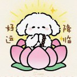 豆友ybUlJXXVqk