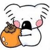 小白
