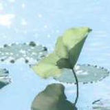 豆友KjVy_Mx1oU