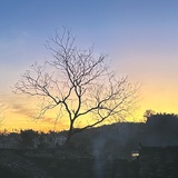 圆
