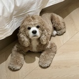 汪汪汪汪汪汪汪