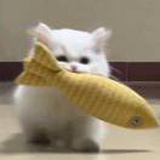 豆友g5UycNVnFs