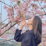 大菊儿