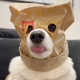 强风吹拂