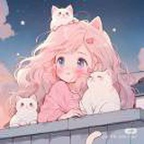 晓梦星盘