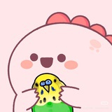 momo 🍉