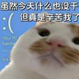 豆友k95rlPilSM