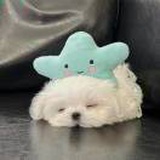 我选择沉默