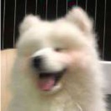 豆友DLqZ54psnI