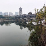 红枫有道
