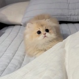 滴滴
