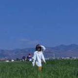 豆友_Fz5TF1Btw
