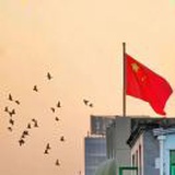 咸鱼翻身做腊肉