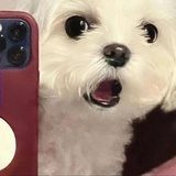 小乌