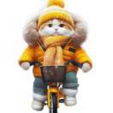 豆友jQkbUyp5Nk