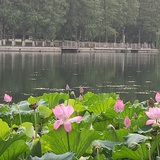 想要活得精彩