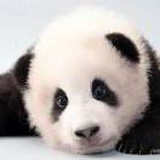 豆友-O1xTYegHI