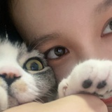 炸鸡妈妈