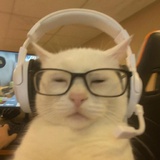 果泥几哇˶╹ꇴ╹˶