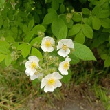 我与婆婆这七年