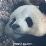 之心城