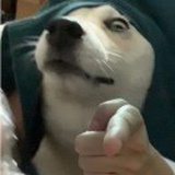 豆友o9qPASdN-s