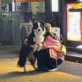 豆友Sp_UkYj7sw