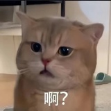 松鼠猫猫