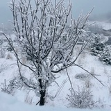 明天起早点