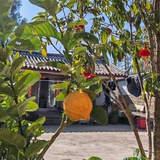 小溪