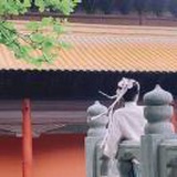 豆友axo_FZojjg
